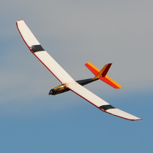 Logo Sektion Modellflug